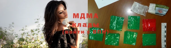 индика Алзамай