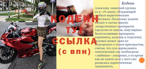 СК Абинск