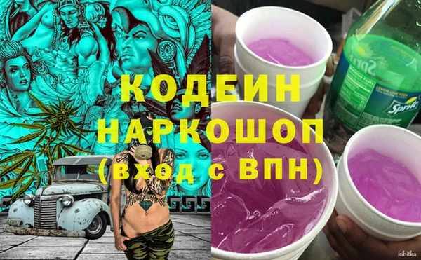 индика Алзамай